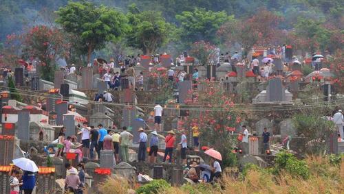 坟头草能不能拔掉