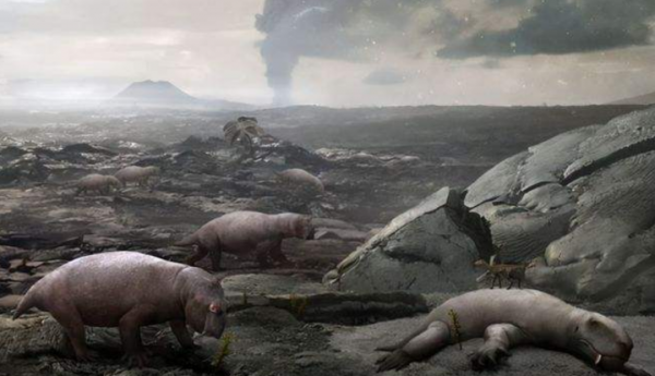 已灭绝又被复活的动物的名称