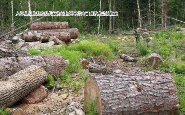 已灭绝又被复活的动物的名称