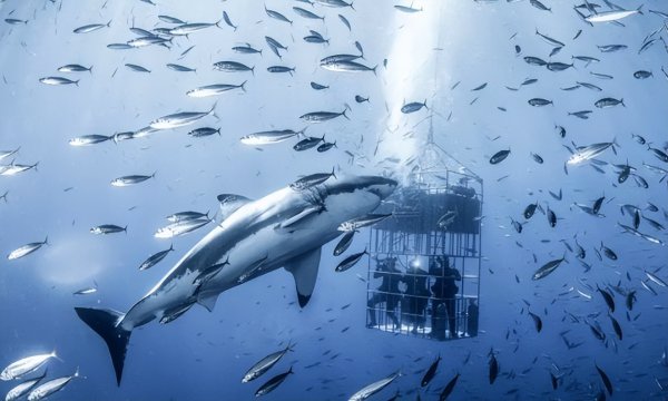研究员职称相当于什么级别