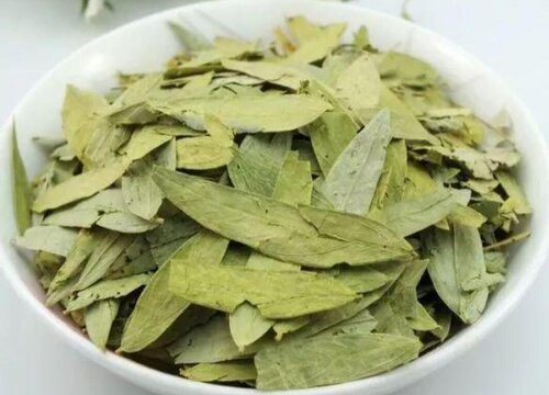 番泻叶是什么树的叶子