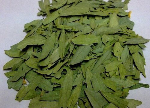 番泻叶是什么树的叶子