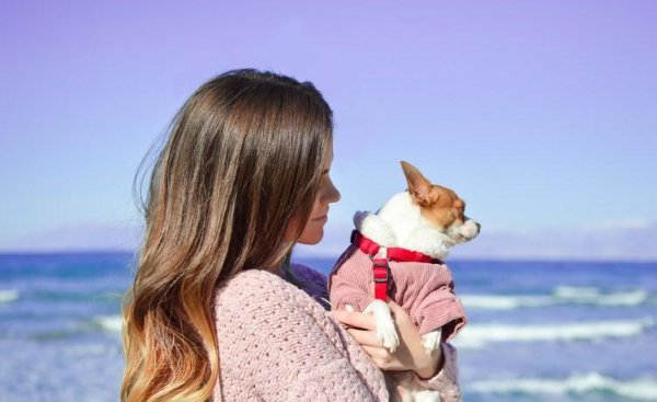 没担当的男人有多可怕