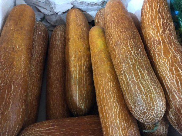 黄瓜为什么是绿色的叫黄瓜