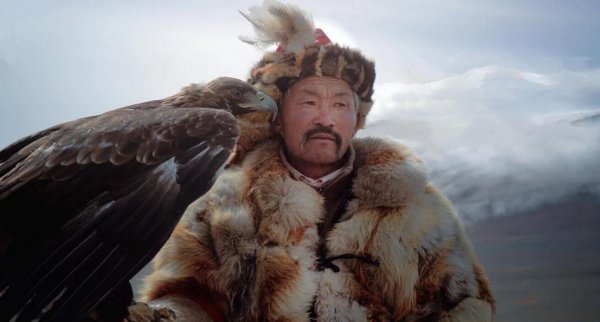 黄瓜为什么是绿色的叫黄瓜