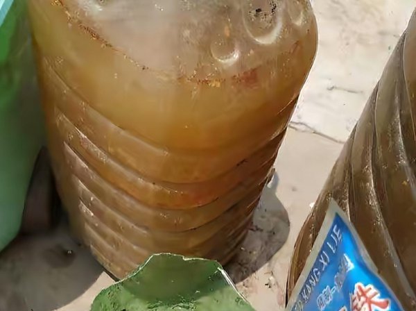 饼肥的使用方法及操作步骤介绍