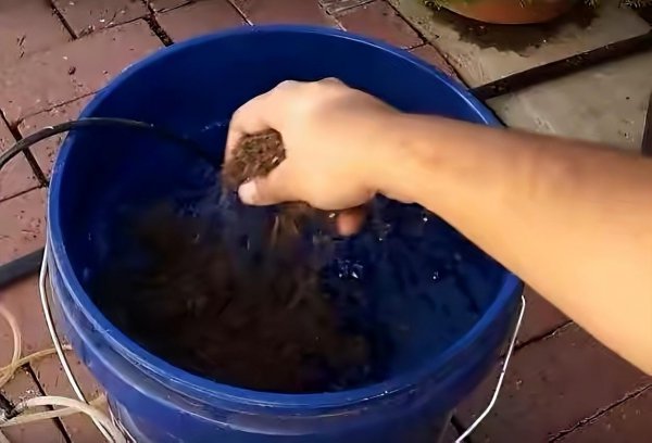 饼肥的使用方法及操作步骤介绍