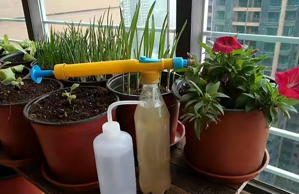 饼肥的使用方法及操作步骤介绍