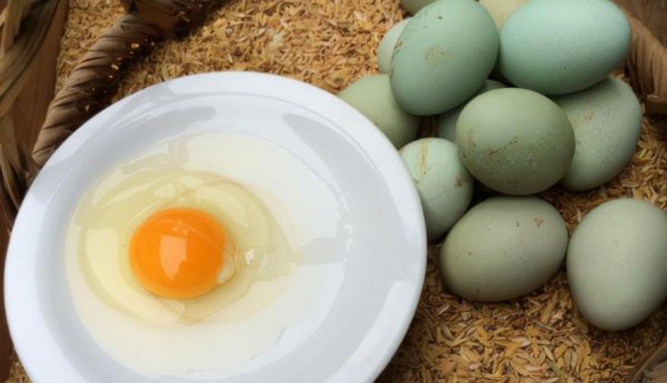 鲜鸡蛋常温可以放多久时间