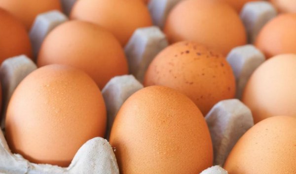 鲜鸡蛋常温可以放多久时间