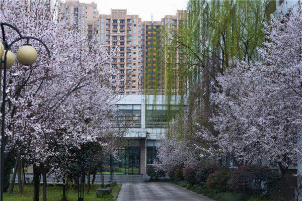 成都师范学院是几本