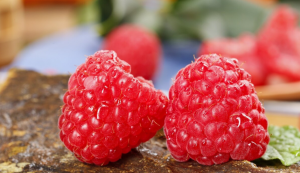 富含花青素的食物排行