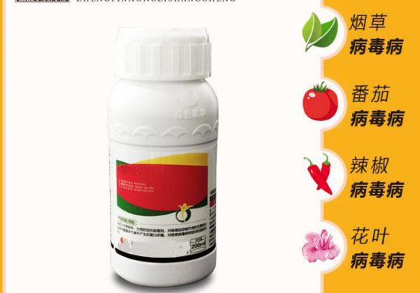 番茄病毒病的症状和治疗措施