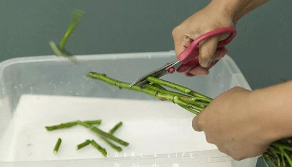 花束下面的花泥要不要扔