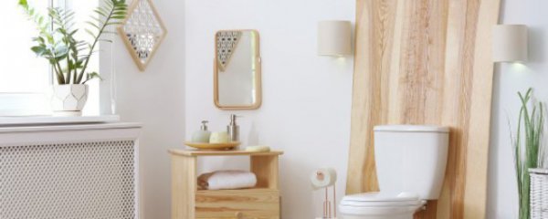 卫生间放什么小物件招财