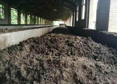 猪粪可以做花肥吗