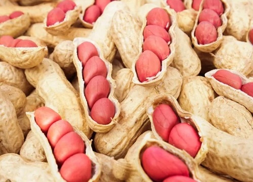 预计2023年花生价格走势