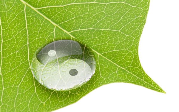 阴阳是指什么意思网络用语