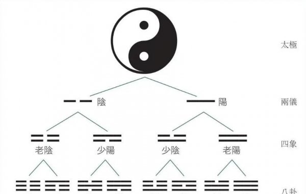 阴阳是指什么意思网络用语