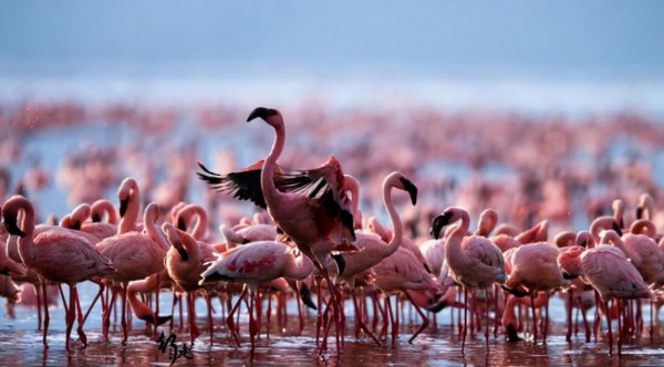 全球十大恐怖禁地有哪些