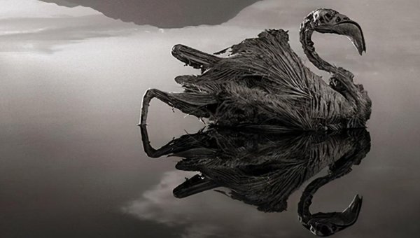 全球十大恐怖禁地有哪些