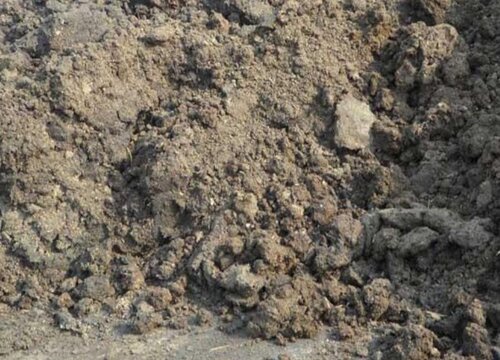 牛粪可以做肥料吗