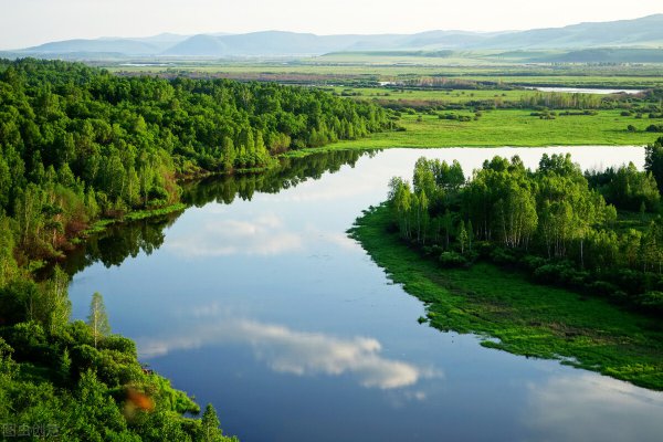 人为了什么而活着