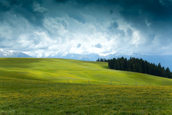 人为了什么而活着