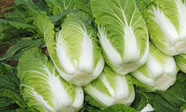 含农药最多的蔬菜排名