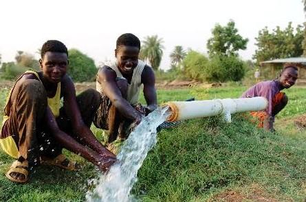 非洲平均寿命是多少