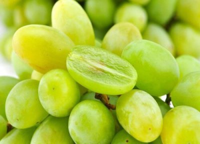 青提子品种 青提子什么季节成熟