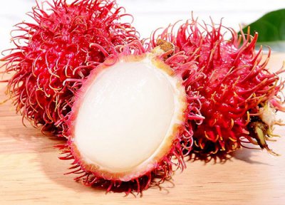 红毛丹产地主要在哪个省 红毛丹主要产区在我国哪些地方