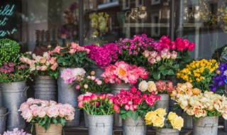 晒干的花要如何保存好看 干花保存方法