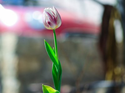 女朋友难过了怎么安慰最暖心 女孩子心情不好怎么哄她开心