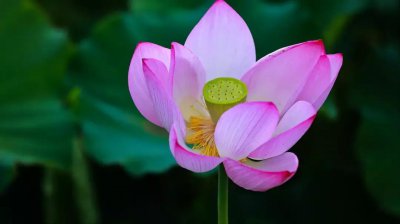 频繁聊天后突然冷淡的原因 总聊天的人突然不聊了怎么办