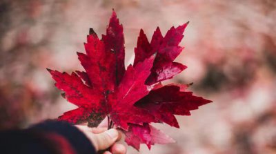 可以吸引高层次男人的女人 真正高层次往往有两个过人之处