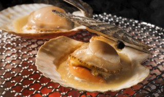 扇贝怎么选 如何挑选扇贝