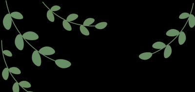 电脑播放器哪个最好用 电脑端好用的视频播放器软件排行
