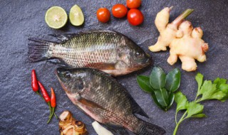 鱼能放冰箱冷冻吗 鱼可以放冰箱冷冻吗