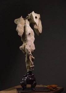 太湖石特点和作用有哪些 太湖石四个特点的石质