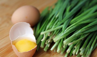 在家里种植韭菜的方法 家庭阳台韭菜种植方法步骤