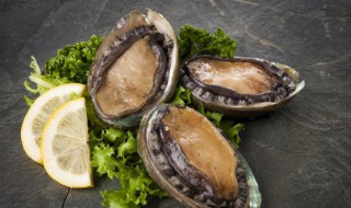 买回的鲍鱼如何保鲜储存 新鲜鲍鱼怎么保存