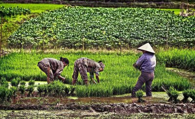 智利在哪个洲的位置 拉美富裕国家智利国土极其狭长