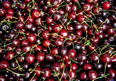 黑樱桃是车厘子吗 黑樱桃和车厘子一样的水果吗