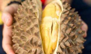 怎么挑选好吃的榴莲 如何挑选好吃的榴莲