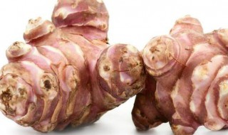 阴凉地方适合种植什么蔬菜 阴凉地方适合种植哪些蔬菜