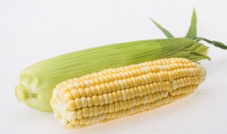 玉米和梨子可以同时吃吗 玉米和梨子一起吃好吗