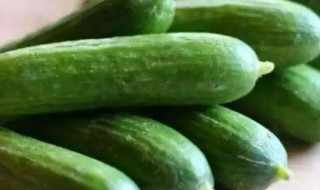 地黄瓜哪些人不宜吃 地黄瓜禁用人群