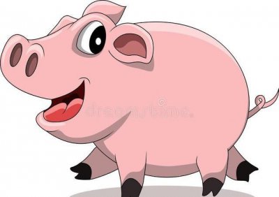 十二生肖里哪个属相最有福气 生肖中最有福气3大属相