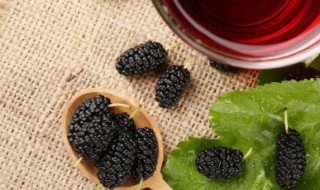 吃桑果的好处 吃桑果好不好